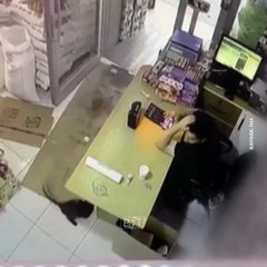 A sneaky cat in Turkey scared the shop owner by secretly moving a box😂