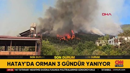 Son Dakika Haberi: Hatay, İzmir ve Mersin'deki orman yangınlarında son durum