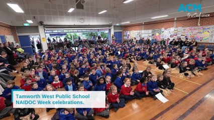 Tamworth West Public School celebrates NAIDOC Week