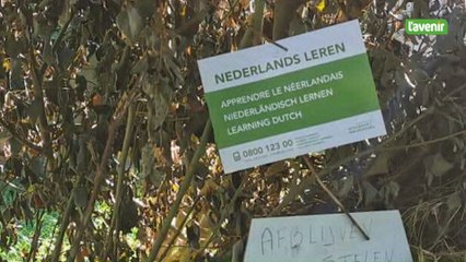 Conflit de voisinage à Meise : le matin, sa voisine lui balance de l'urine par dessus la palissade !