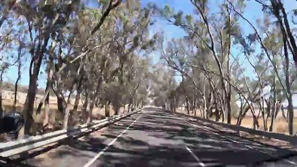 Avoca to St. Arnaud: Exploring Victoria's Silo Art Trail 🎨🚗