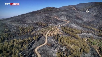 Hatay'da orman yangını kısmen kontrol altında: Soğutma çalışması devam ediyor
