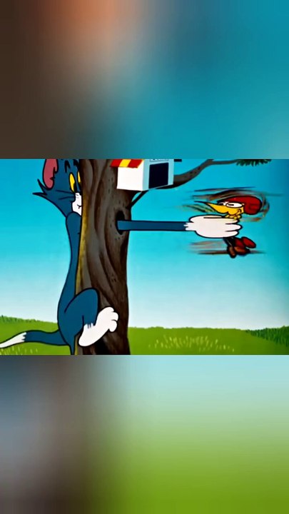 The Tom and Jerry funny show
