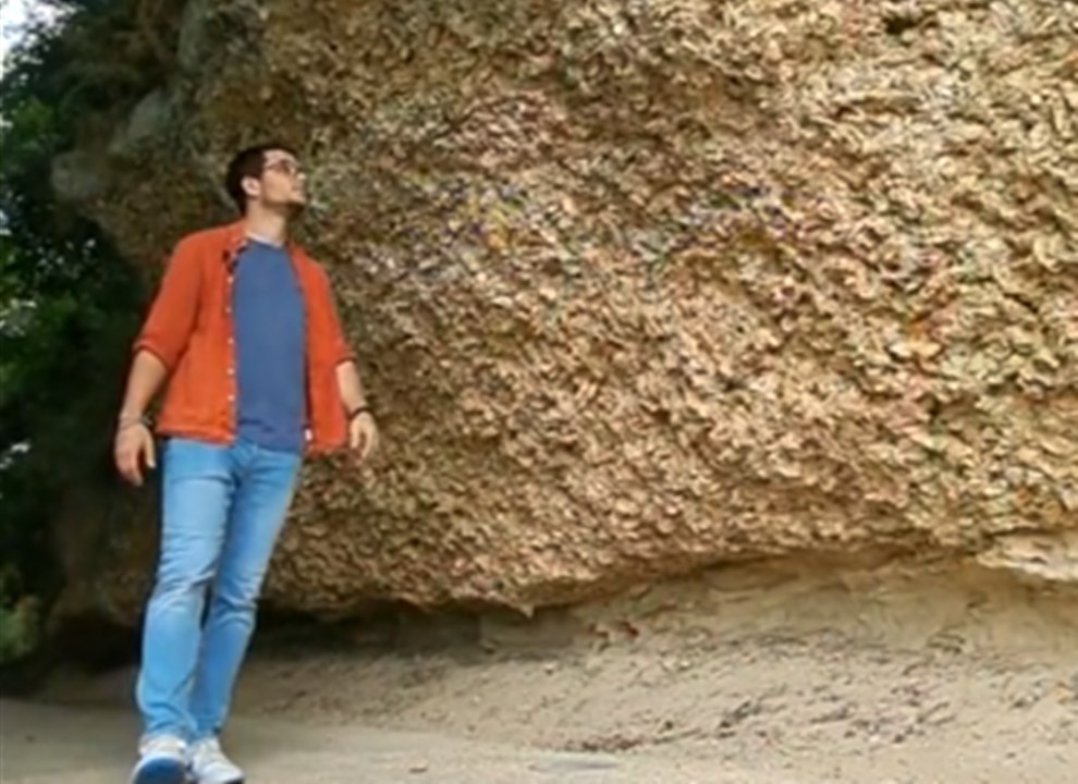 En Gironde, découvrez ces étonnantes grottes d'huîtres, vieilles de plus de 20 millions d'années