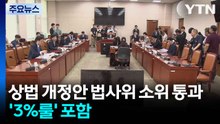 '주주 권리 강화' 상법 개정안 법사위 소위 통과...'3%룰' 포함 / YTN