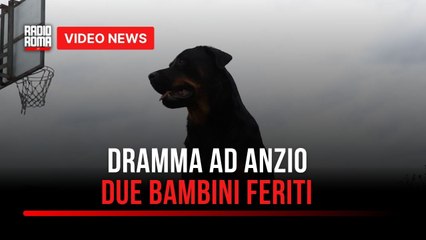 Bimbi aggrediti dal cane della nonna, choc ad Anzio
