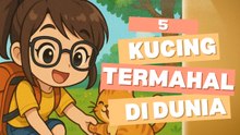 5 Ras Kucing Termahal di Dunia