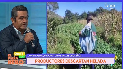 PRODUCTORES DESCARTAN HELADA