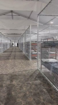 Así es 'Alligator Alcatraz', la cárcel para migrantes rodeada de caimanes de la que presume Trump