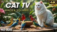 Video for Cats Who Love to Hunt – Movement That Triggers Instincts [NO ADS]