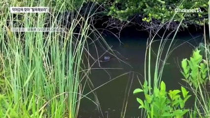 “탈옥하면 악어 기다린다”…트럼프, 이민자 수용소 방문