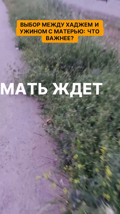 Выбор между хаджем и ужином с матерью - что важнее