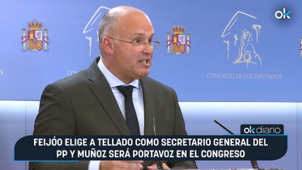 Feijóo elige a Tellado como secretario general del PP y Muñoz será portavoz en el Congreso