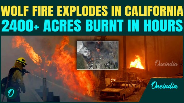 California BURNS Again: Wolf Fire RIPS Through 2,400 Acres — Start of the Deadly Fire Season?