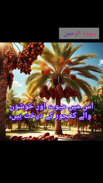 Surah Ar-Rahman Urdu Translation | First 40 Verses | Beautiful Quran Recitation