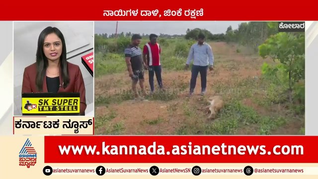 Kolar: ನಾಯಿಗಳ ದಾಳಿ, ಜಿಂಕೆ ರಕ್ಷಣೆ | Karnataka News Express | Suvarna News | Kannada News