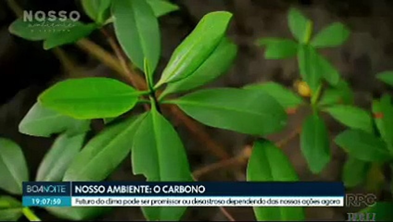 JORNAL DA NOITE 01/07/2025