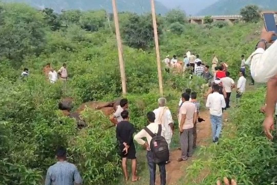 Alwar News: करंट की चपेट में आईं 6 भैंस की मौत, ग्रामीणों का गुस्सा