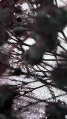 مصمم Lynor: نستعين برموز الحظ والحب وهدفنا أن تكون مجوهراتنا احتفالاً صامتاً بالذات