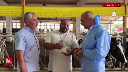 Elazığ'da sığırlarda meme iltihabını önleyen cihaz geliştirdiler