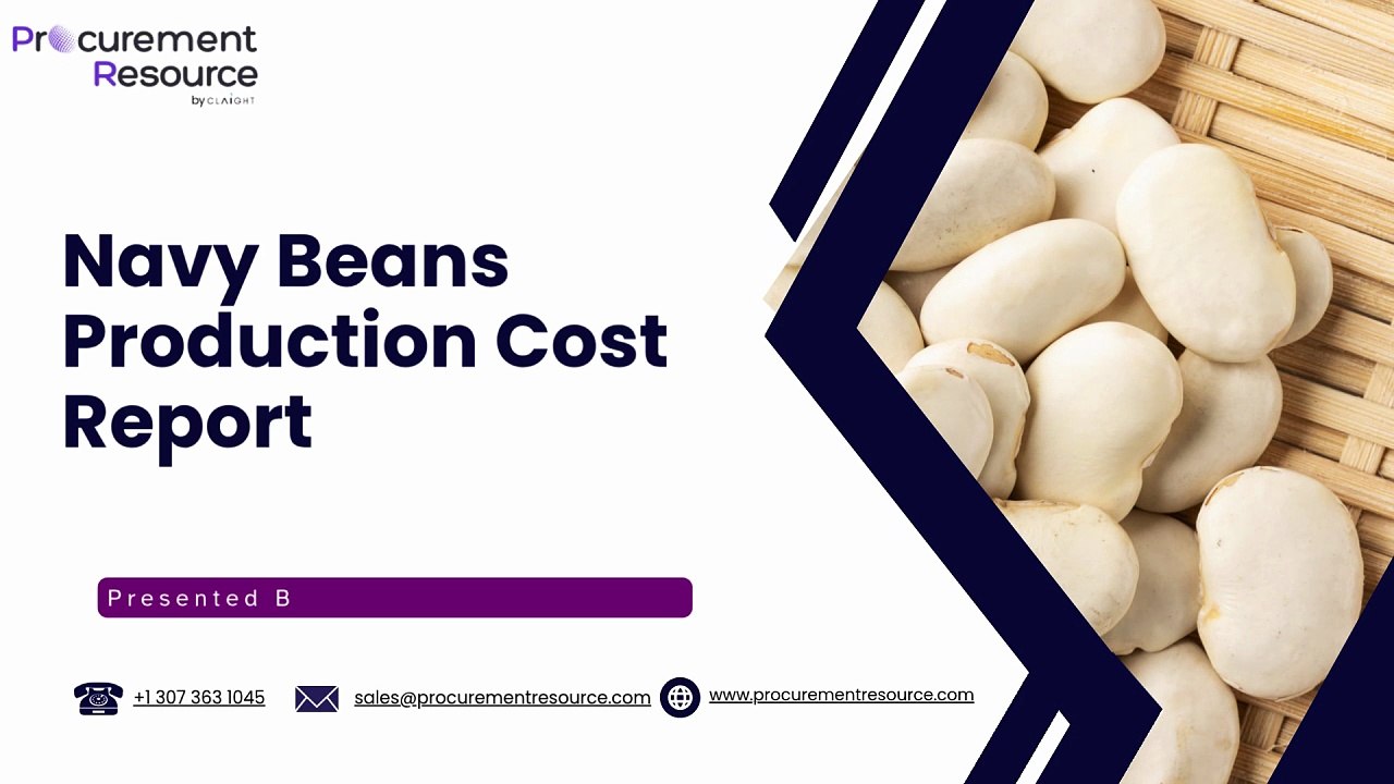 Navy Beans Production Cost Report