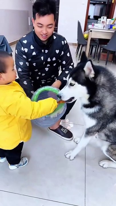 my cute dog