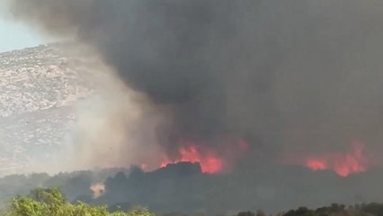 İzmir'deki yangın Çeşme'ye de sıçradı!