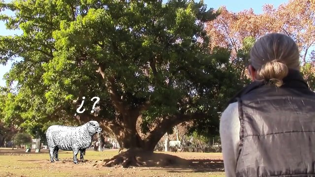 Las Ovejas Oyen La Voz de su Pastor - Reflexion Cristiana Para Jovenes