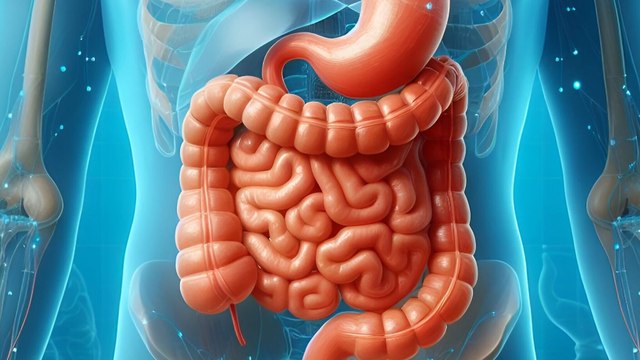 Mundo Natural: probióticos para la salud intestinal