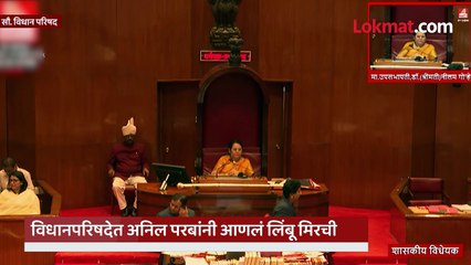 अनिल परब सभागृहात लिंबू मिरची का घेऊन आले