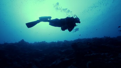 Il plonge depuis 13 ans pour retrouver sa femme disparue dans un tsunami