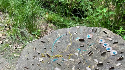 Lost in Parbold's Fairy Glen: An Unexpected Adventure 🌲