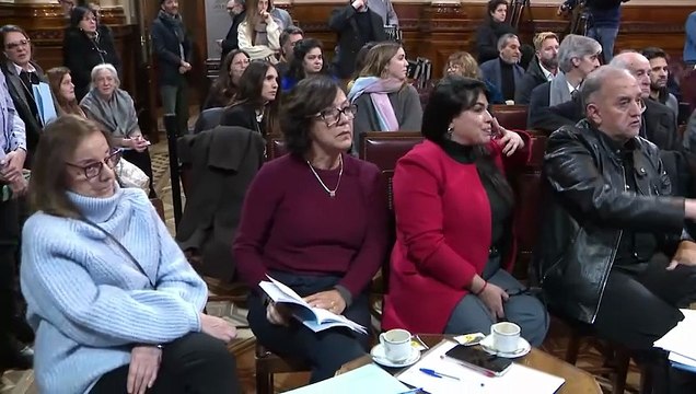 La senadora del PRO Álvarez Rivero quiso levantar la comisión de Trabajo y Previsión