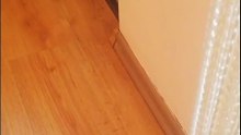 Whose Cat Is This?! It’s Not Mine… But He Acts Like It 😼 #shorts
