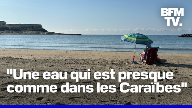 ROBIN DE BFM - Nouveau record de chaleur pour la mer Méditerranée