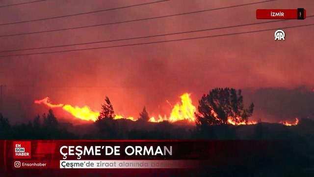 İzmir'de ziraat alanında başlayıp ormana sıçrayan yangına müdahale