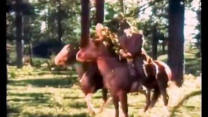 El Hombre del Bosque /Películas del Oeste Completas en Español