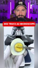 DES TRUCS AU MICROSCOPE !