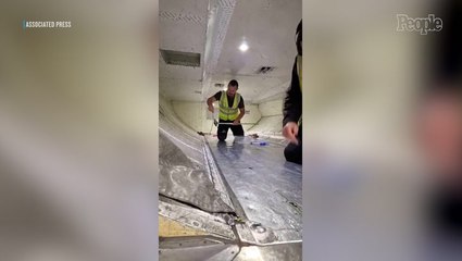 Snakes on a Plane! Reptile Delays Flight After Sneaking into Cargo