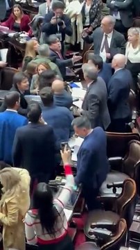 Pelea en Diputados
