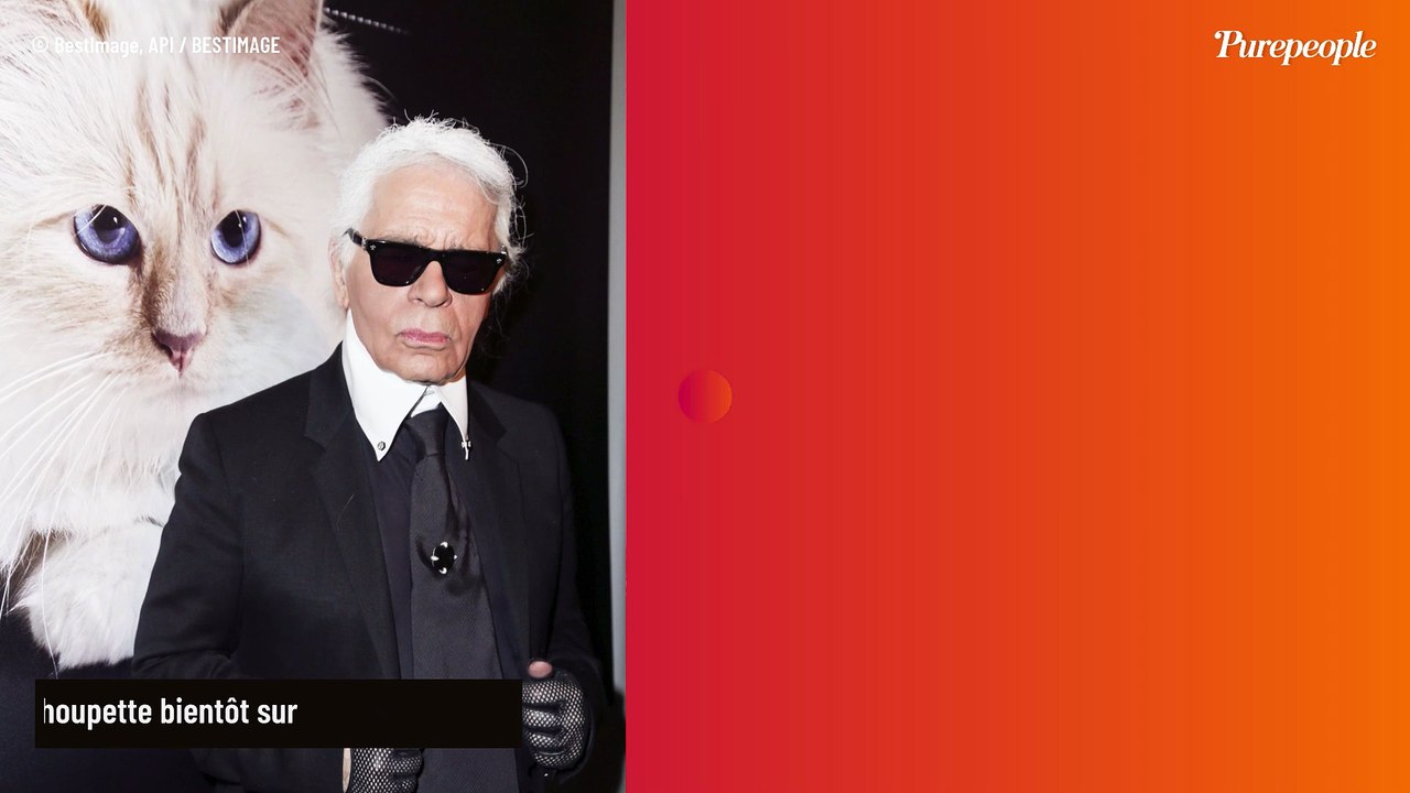 Karl Lagerfeld : Sa célèbre chatte Choupette fait de nouveau parler d'elle pour une raison inattendue