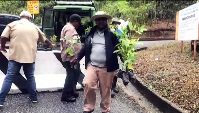 4608 FORESTRY CONTRACTORS TERMINATED