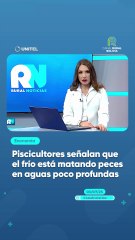 Piscicultores señalan que el frío está matando peces en aguas poco profundas