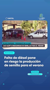 Falta de diésel pone en riesgo la producción de semilla para el verano