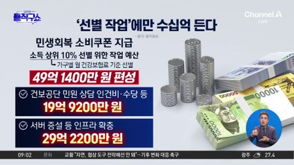 민생회복 쿠폰, 운영비만 550억 원…정부 예산 증액 논란 💰