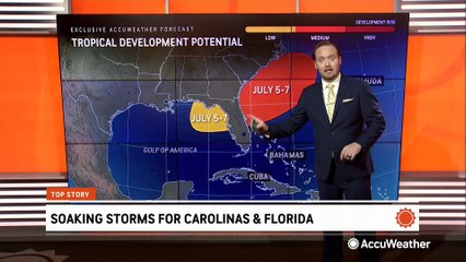 Tropical development possible near the Southeast around Independence Day