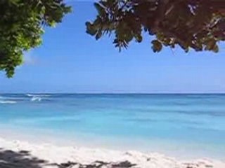 North Island aux seychelles