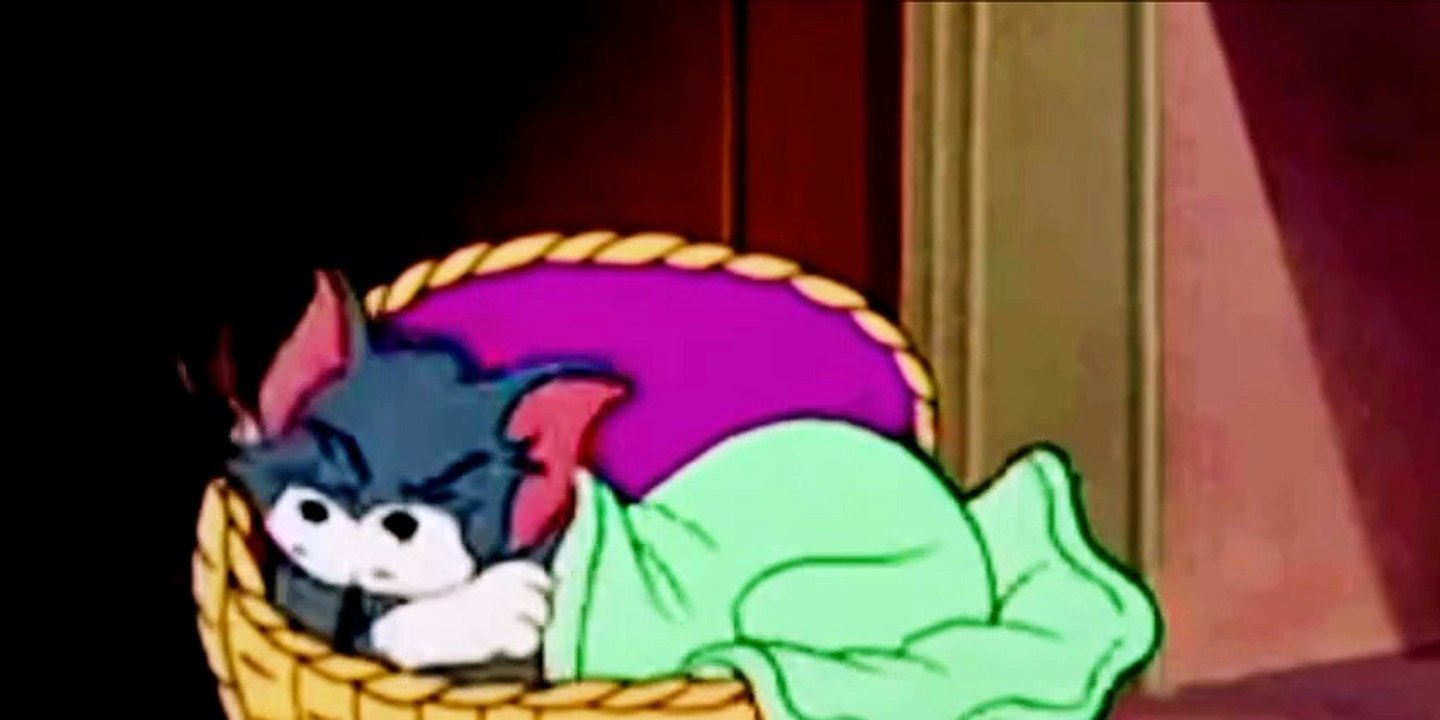 Tom and Jerry cartoon
