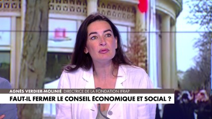 Agnès Verdier-Molinié : «Cela fait plus de 10 ans que nous proposons la suppression du CESE»