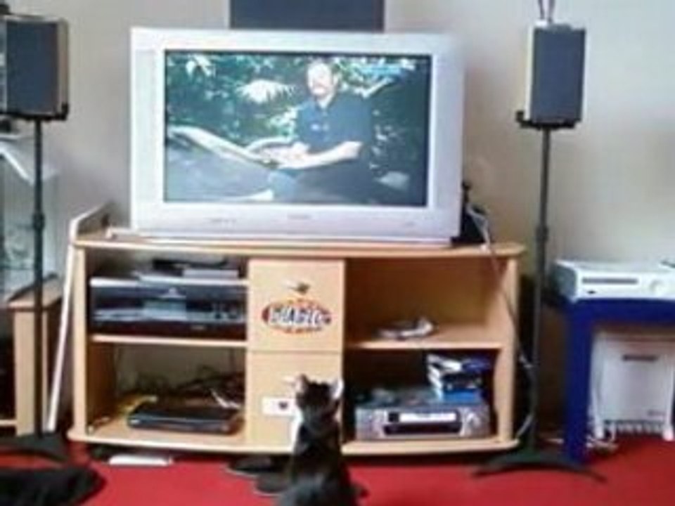 Kyla regarde 30 Millions d'amis